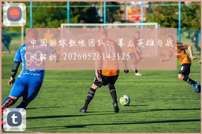 中国排球教练团队：幕后英雄与战术解析_20260526143125